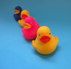 ducks_in_a_row.jpg